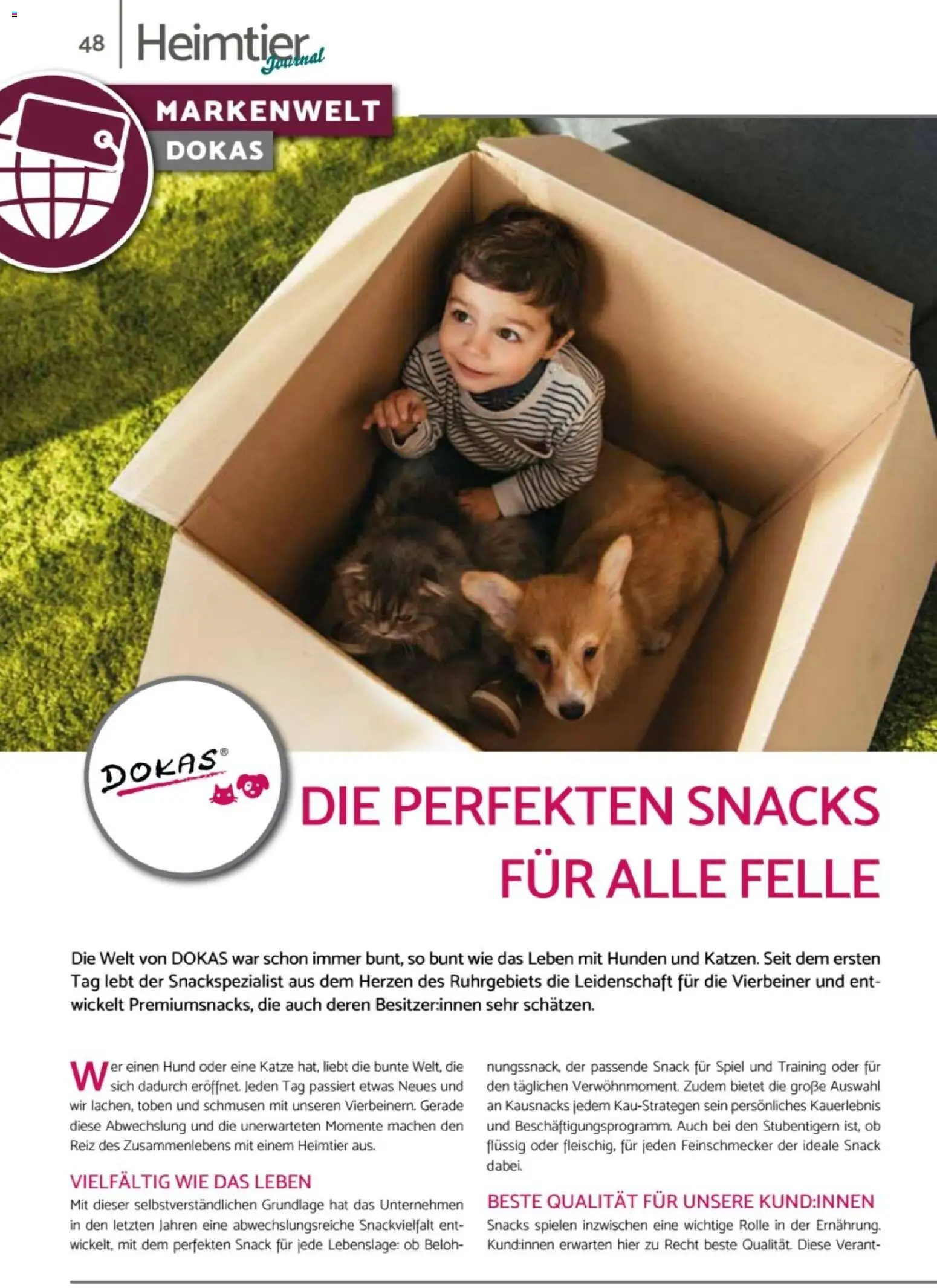 zookauf - Heimtier Journal – gültig ab 01.12.2025 | Seite: 48 | Produkte: Spiel