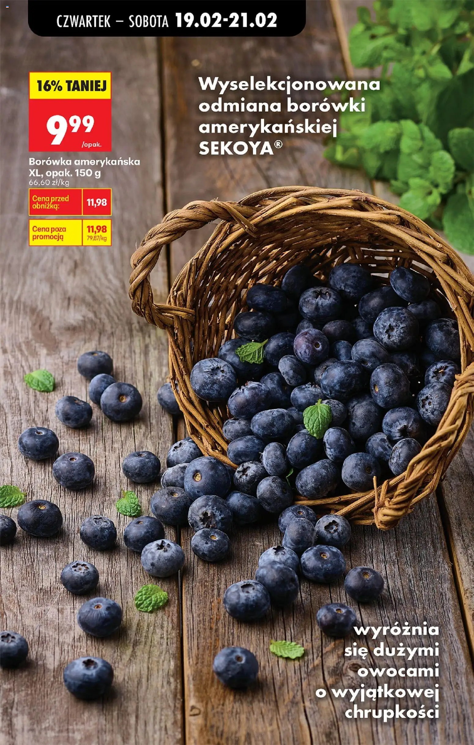 Biedronka gazetka - Oferta w tym tygodniu od 19.02.2026 | Strona: 29 | Produkty: Borówka amerykańska