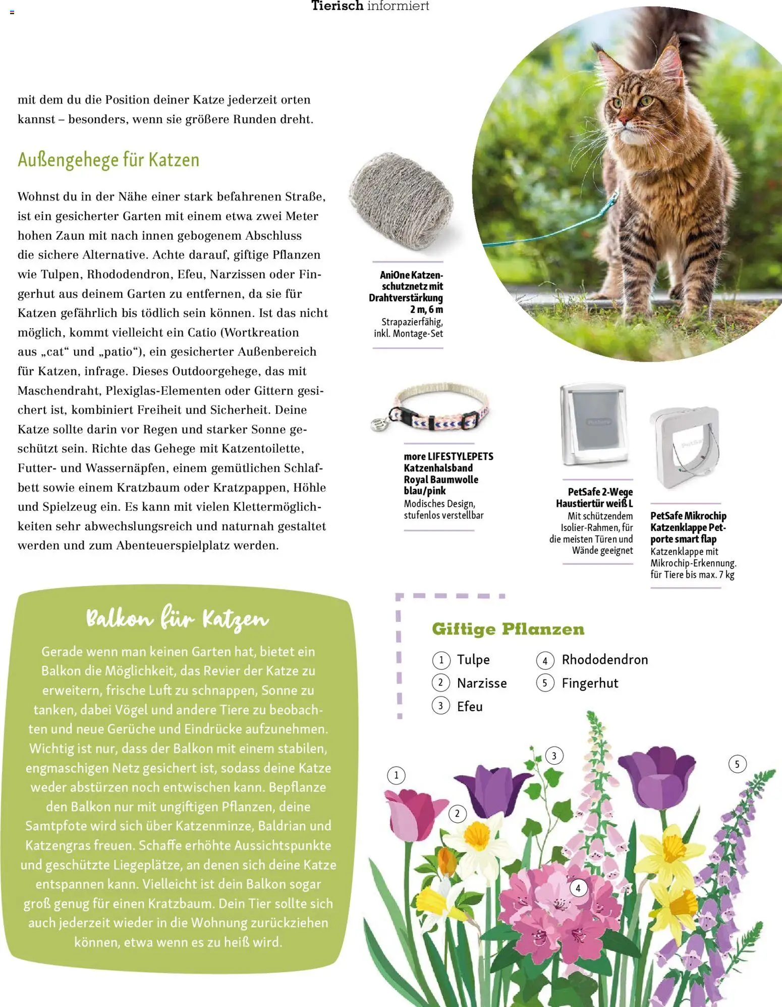 Fressnapf Friends Magazin | 02.03.2026 | Wie erhält man einen begrenzten Rabatt? | Deutschland