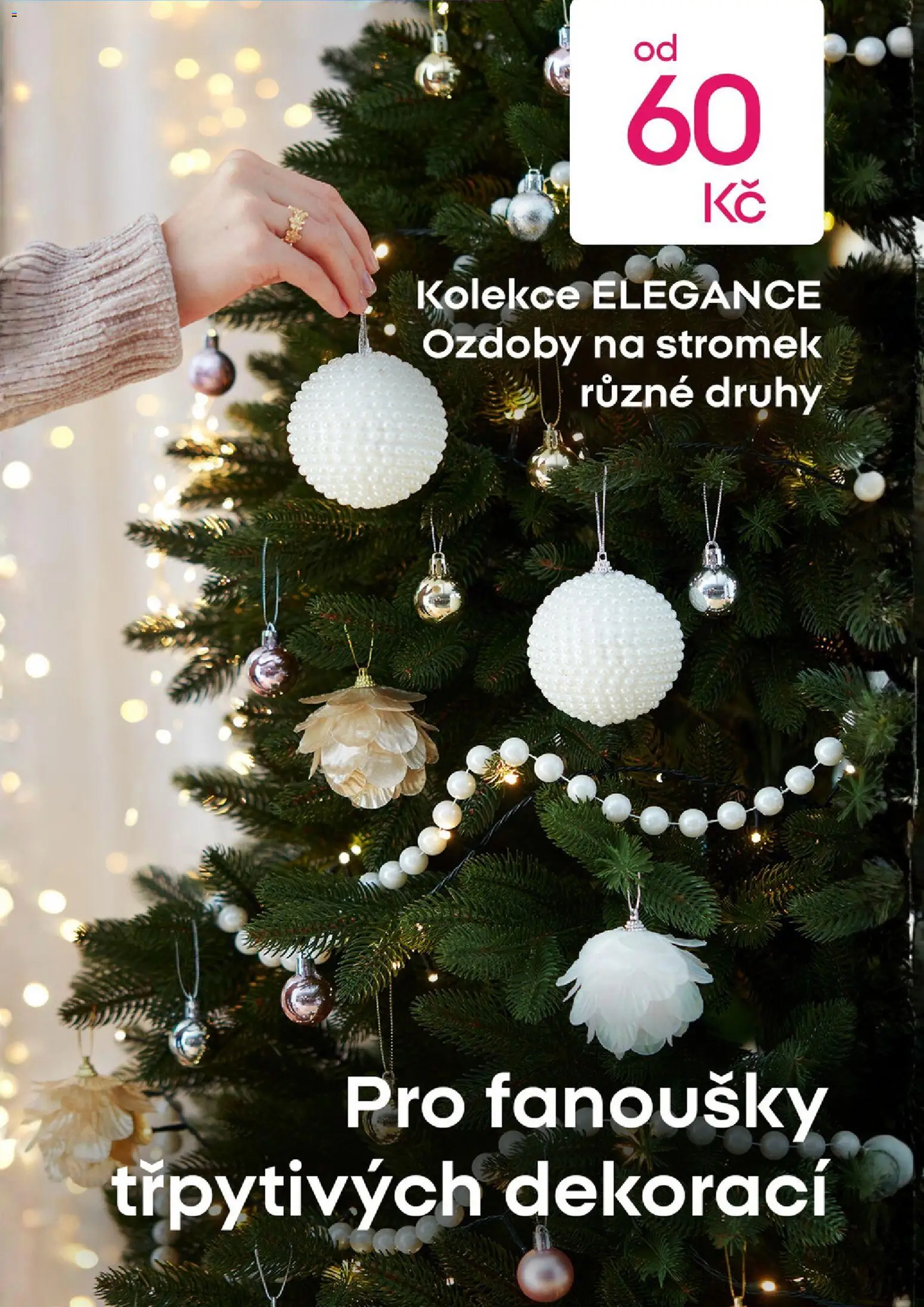 Pepco leták od 13.11.2025 | Strana: 12