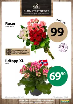 Forhåndsvisning av Roser, 10 stk., 45 cm gyldig fra 02.12.2025 | Side: 11 | Produkter: Манна крупа, Cremă pentru față