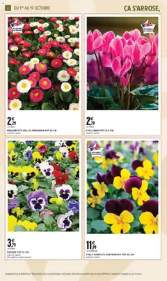 Intermarché - Prévisualisation de Intermarché - Jardin d'automne valide à partir de 30.09.2025 | Page: 2