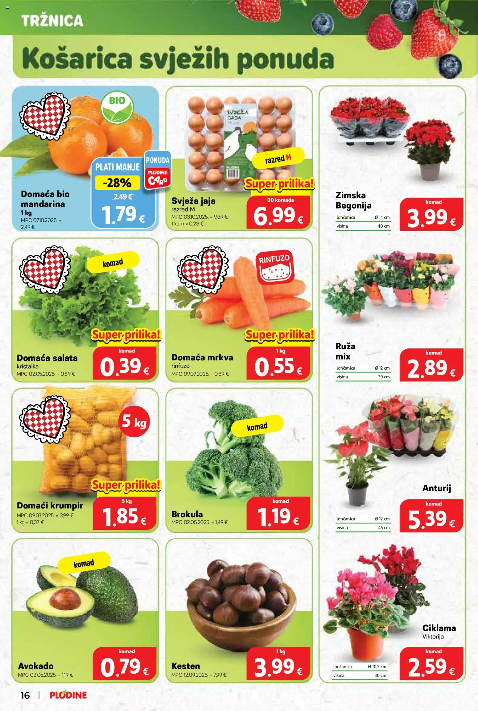 Plodine katalog | vrijedi od 29.10.2025 | Stranica: 16 | Proizvodi: Brokula, Jaja, Mrkva, Krumpir