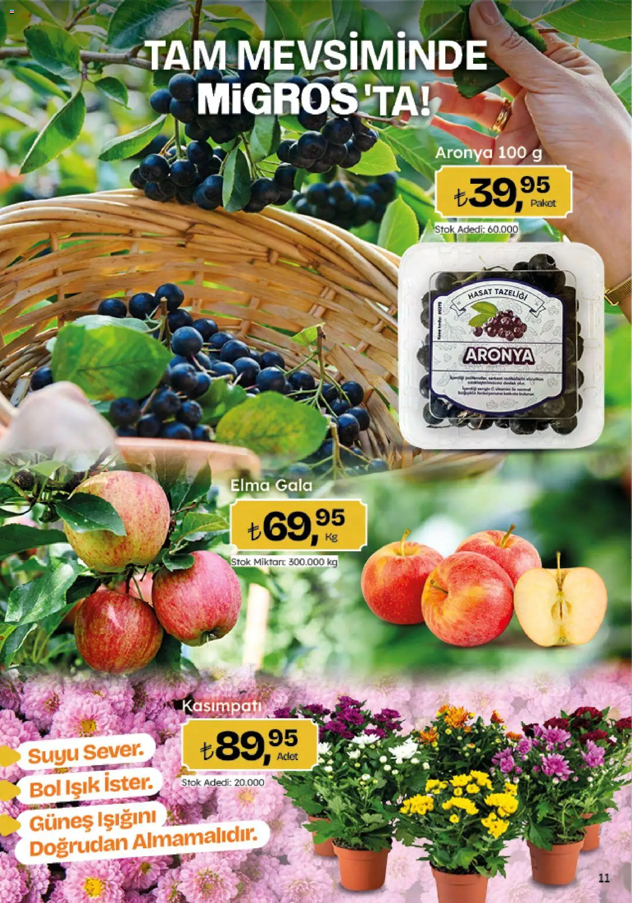 Migros Katalog - Migroskop - 09.10.2025 tarihinden itibaren geçerlidir | Sayfa: 11 | Ürünler: Elma
