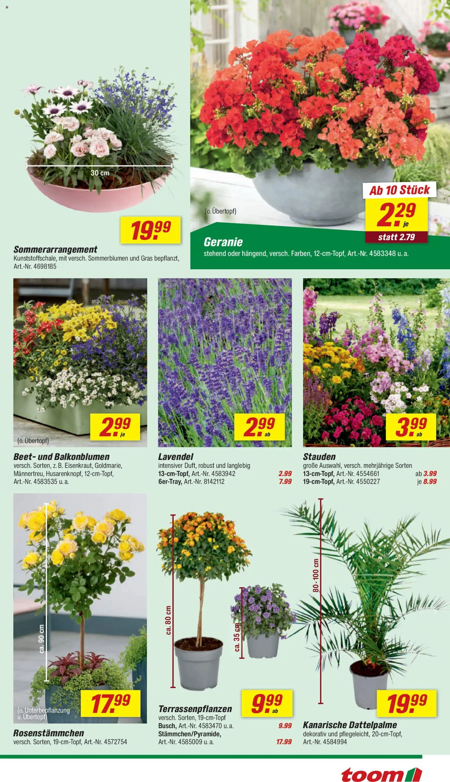 Toom Baumarkt Prospekt 	 – gültig ab 25.04.2026 | Seite: 5 | Produkte: Lavendel