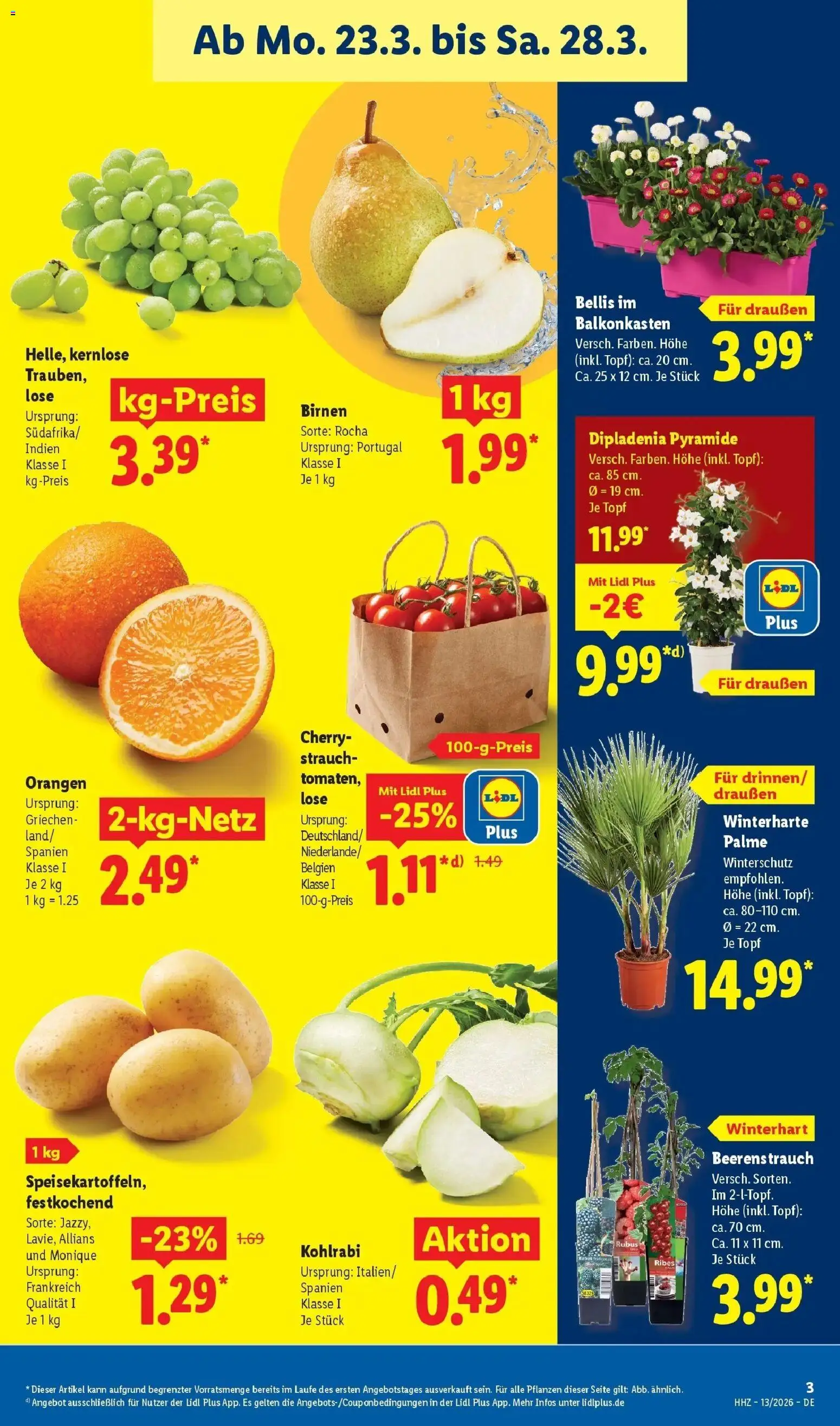 Lidl Prospekt Ilvesheim – gültig ab 23.03.2026 | Seite: 5 | Produkte: Kohlrabi, Orangen