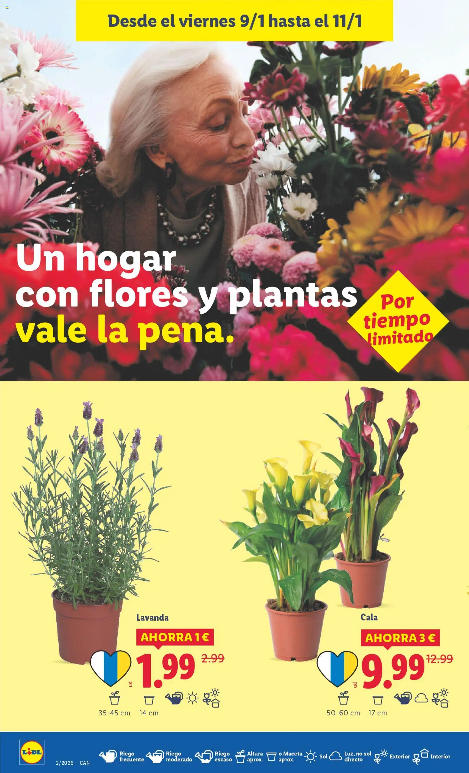 Lidl - Canarias │ válido desde el 05.01.2026 | Página: 32 | Productos: Maceta