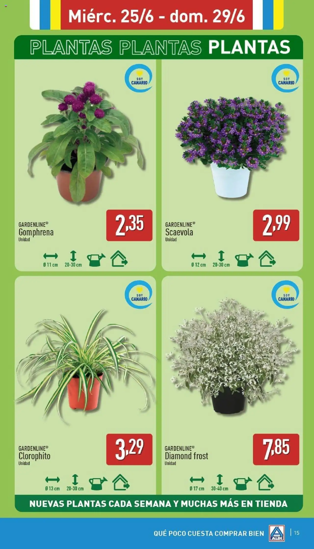 Aldi folleto Canarias │ válido desde el 23.06.2025 | Página: 15