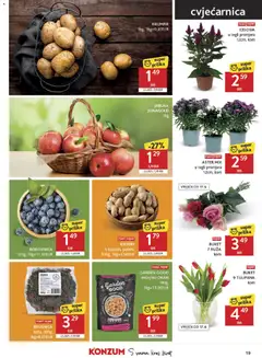 BRUSNICA, suha, 400g, 1kg=8,23EUR - Pregled kataloga iz trgovine Konzum, vrijedi od 15.04.2026 | Stranica: 19