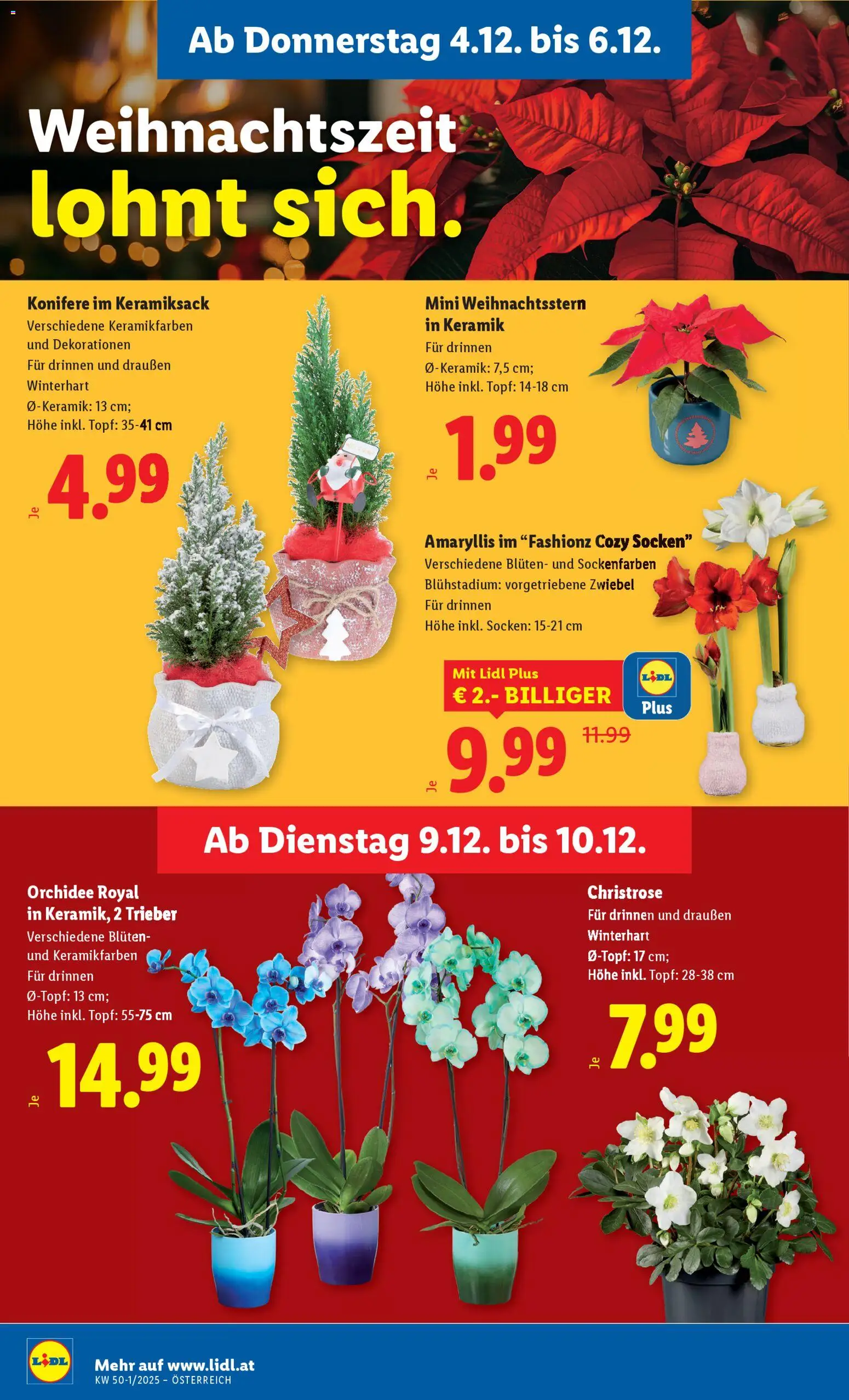 Lidl Flugblatt - Altenmarkt im Pongau, St. Johann im Pongau, Zell am See gültig ab 04.12.2025 | Seite: 32 | Produkte: Socken