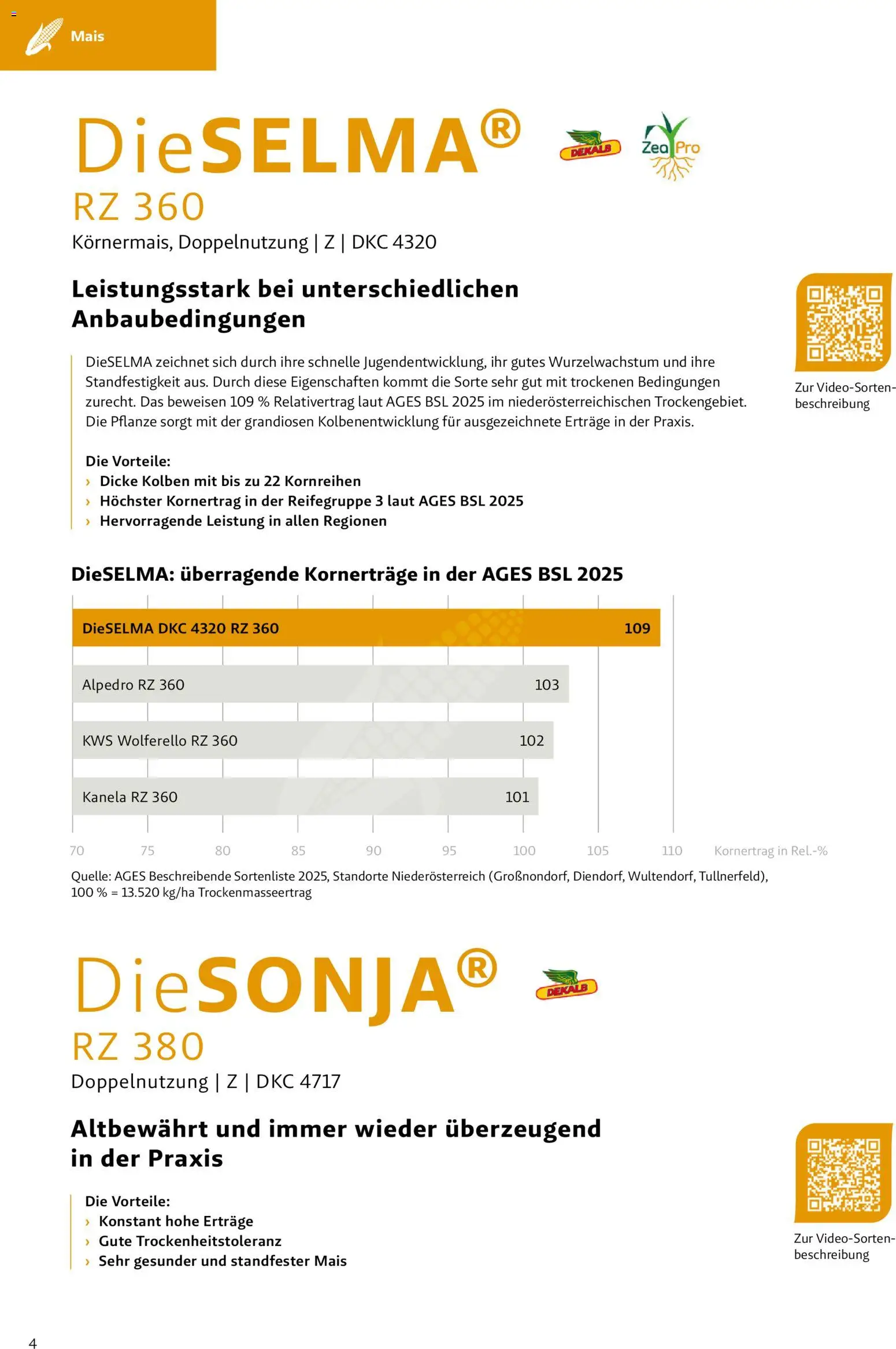 Lagerhaus - Frühjahr 2026 Östliches  Niederösterreich gültig ab 01.03.2026 | Seite: 4