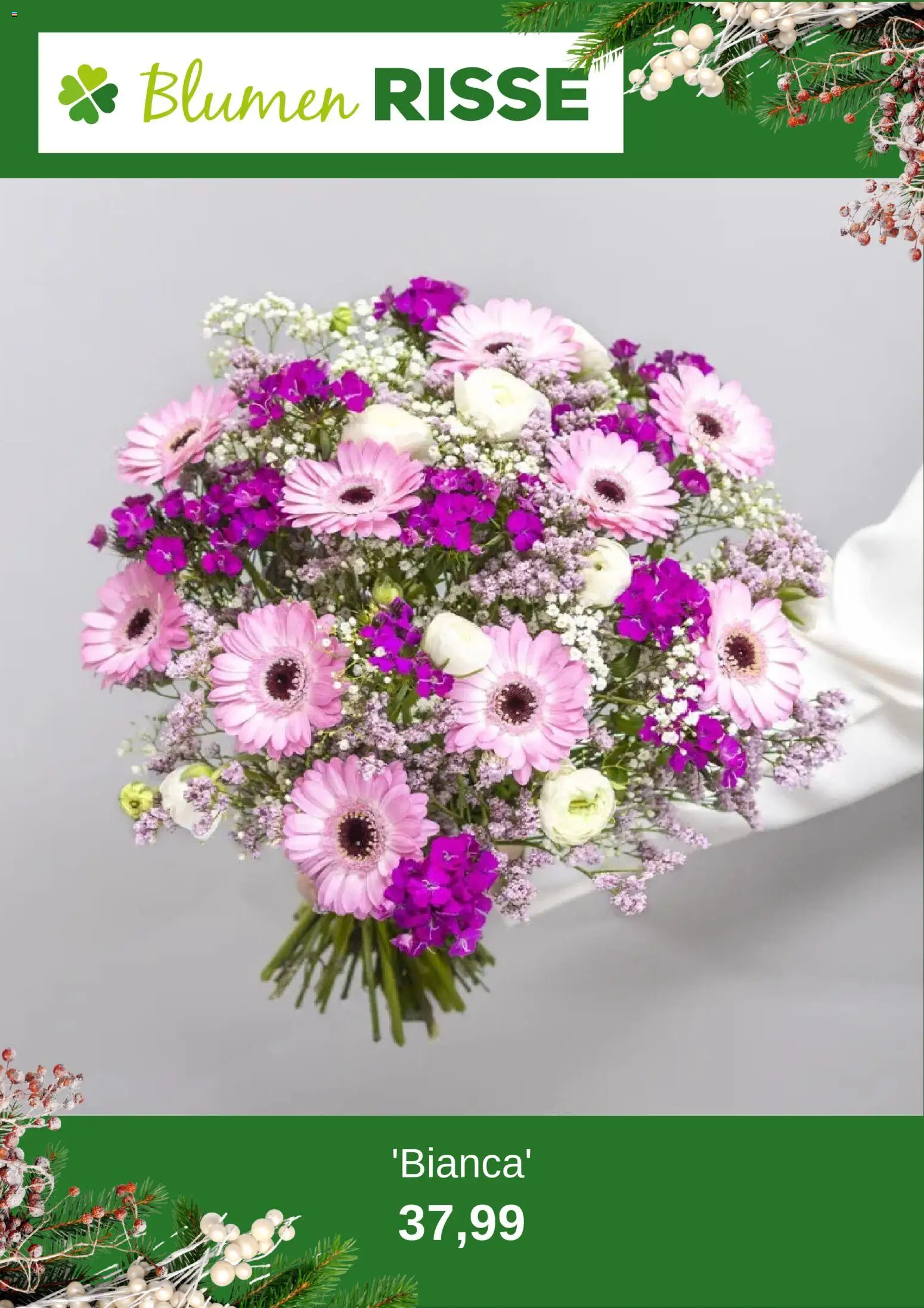 Blumen Risse Prospekt 	 – gültig ab 05.01.2026 | Seite: 8 | Produkte: Blumen