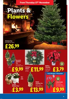 Preview of Lidl - Black Friday valid from 27.11.2025 | Page: 31 | Products: Pot, Plant pot, Ceramic pot