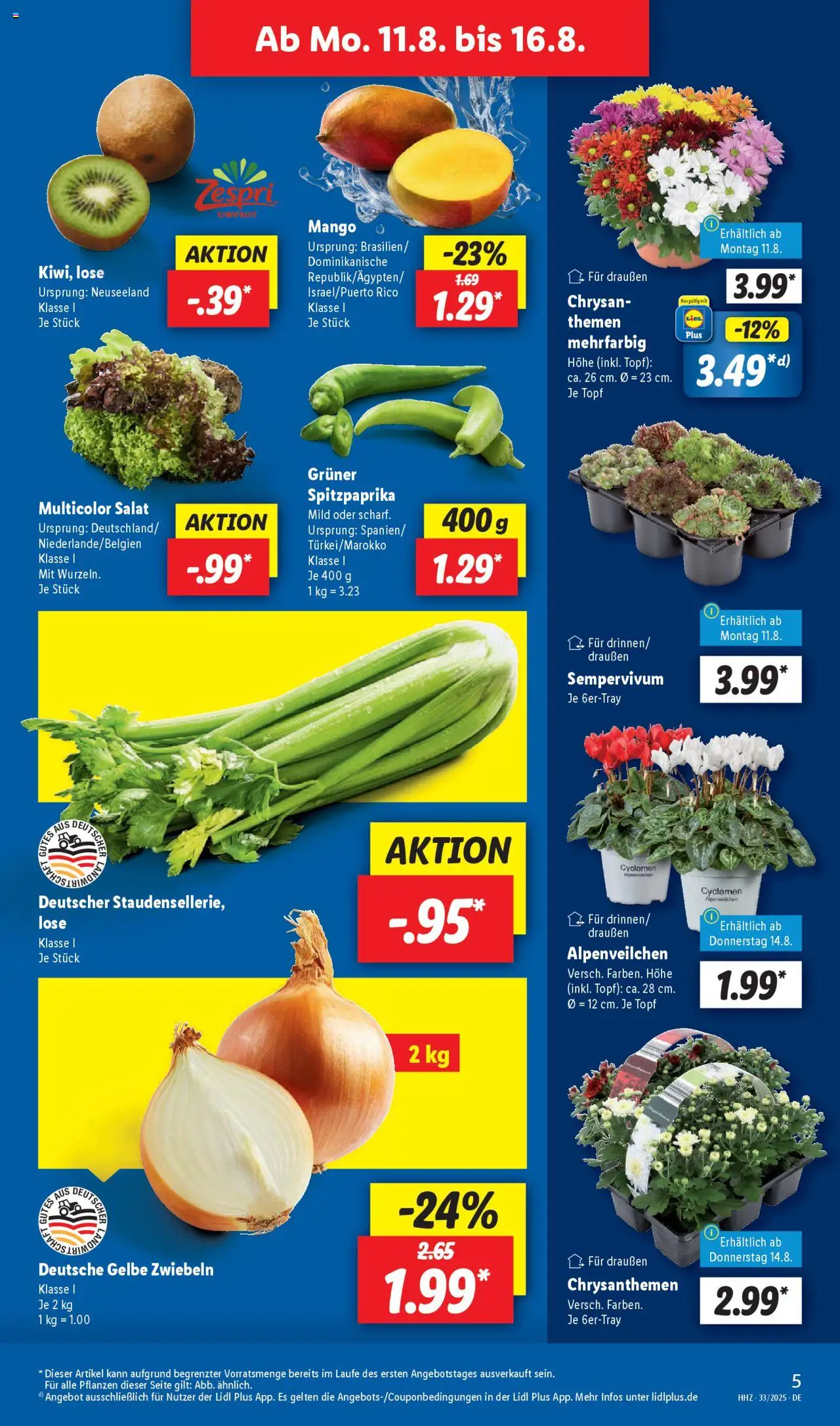 Lidl Prospekt Jessen	 - gültig ab dem 11.08.2025 | Seite: 5 | Produkte: Zwiebeln, Mango, Salat