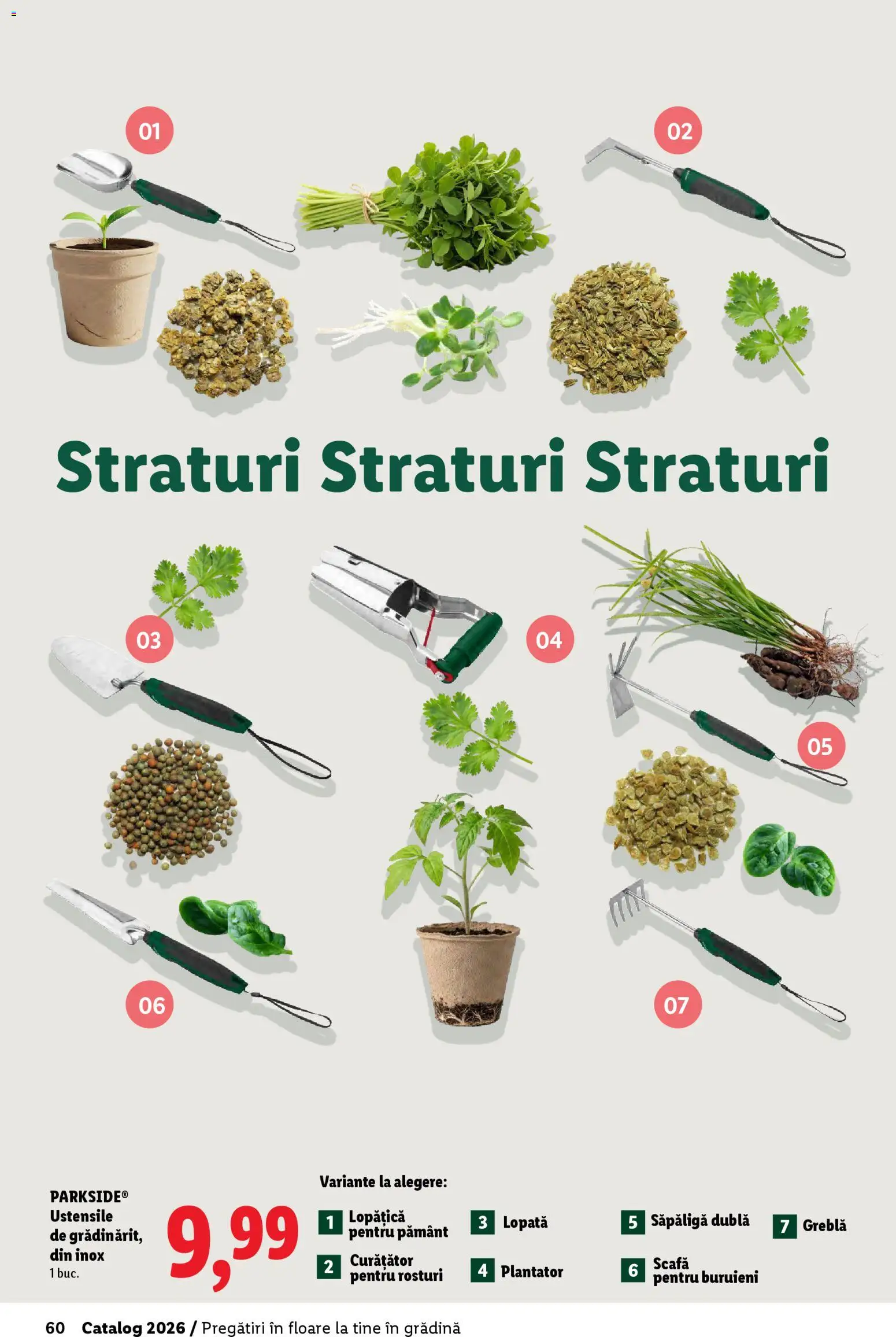 Noul catalog Lidl – valabil de la 19.02.2026 | Pagină: 60