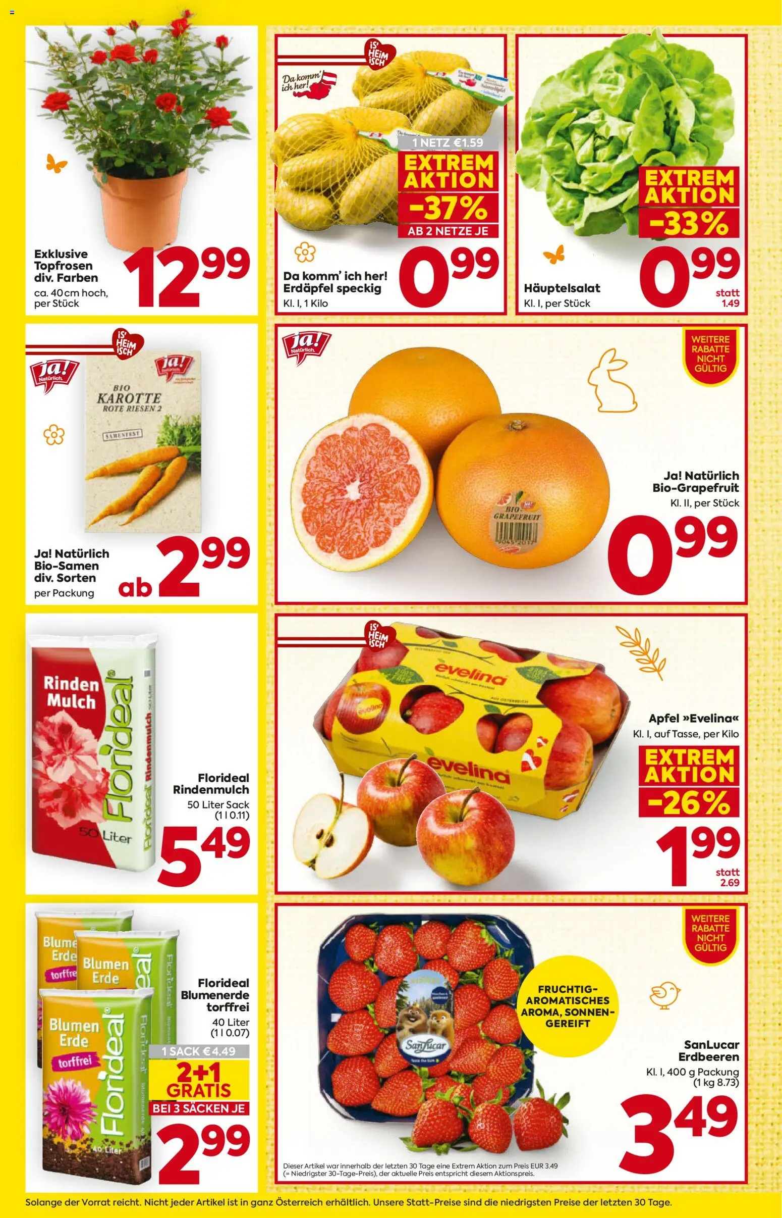 Billa Flugblatt - Tirol gültig ab 19.03.2026 | Seite: 10 | Produkte: Erdbeeren, Karotte, Grapefruit, Äpfel