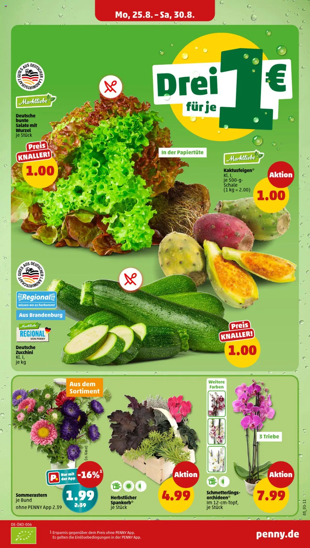 Penny Prospekt 	 - gültig ab dem 25.08.2025 | Seite: 3 | Produkte: Zucchini