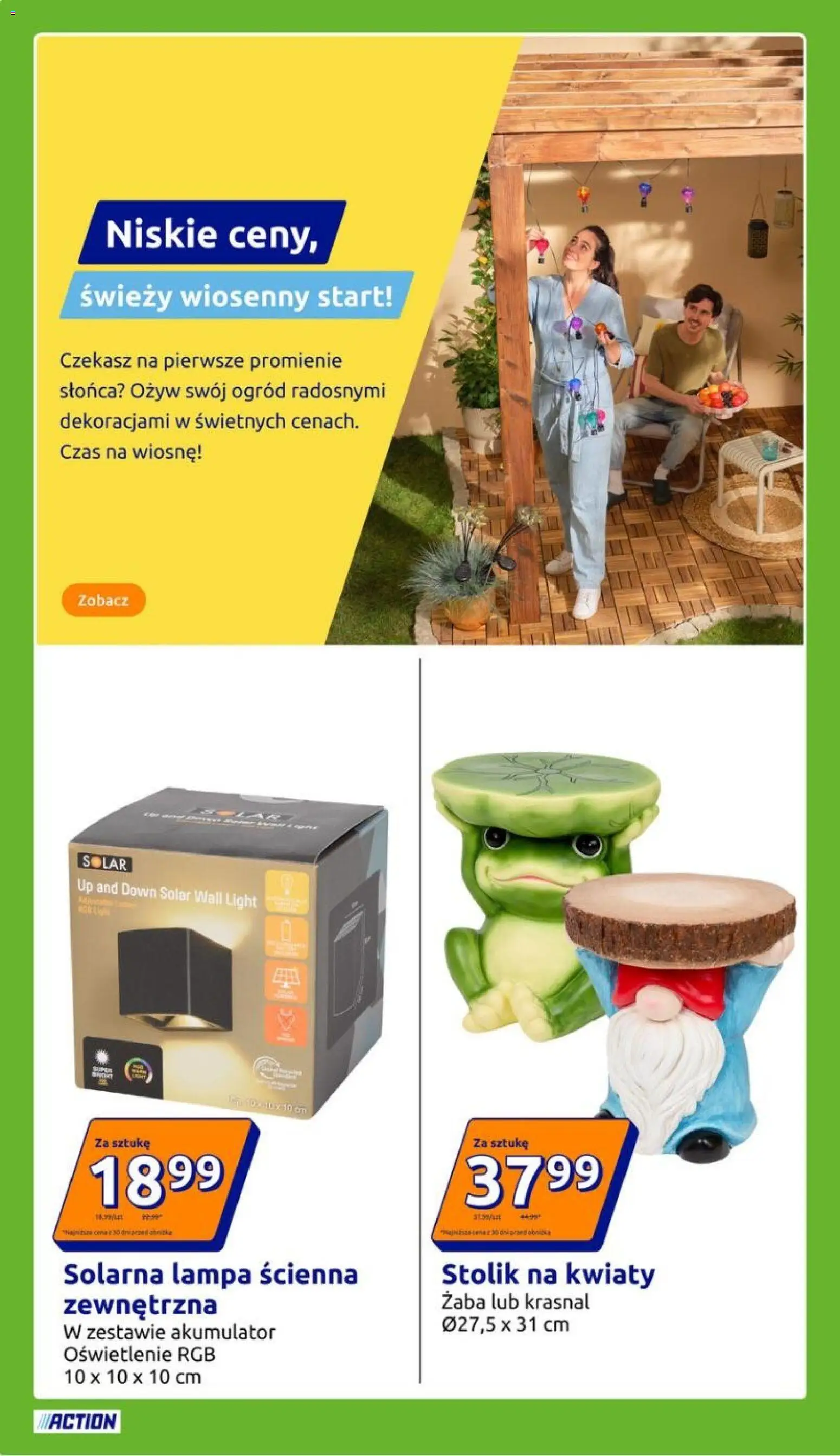 Action Gazetka od 25.02.2026 | Strona: 16 | Produkty: Lampa, Kwiaty