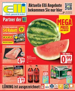 Elli Markt Prospekt Schloß Holte ab 13.04.2026 gültig