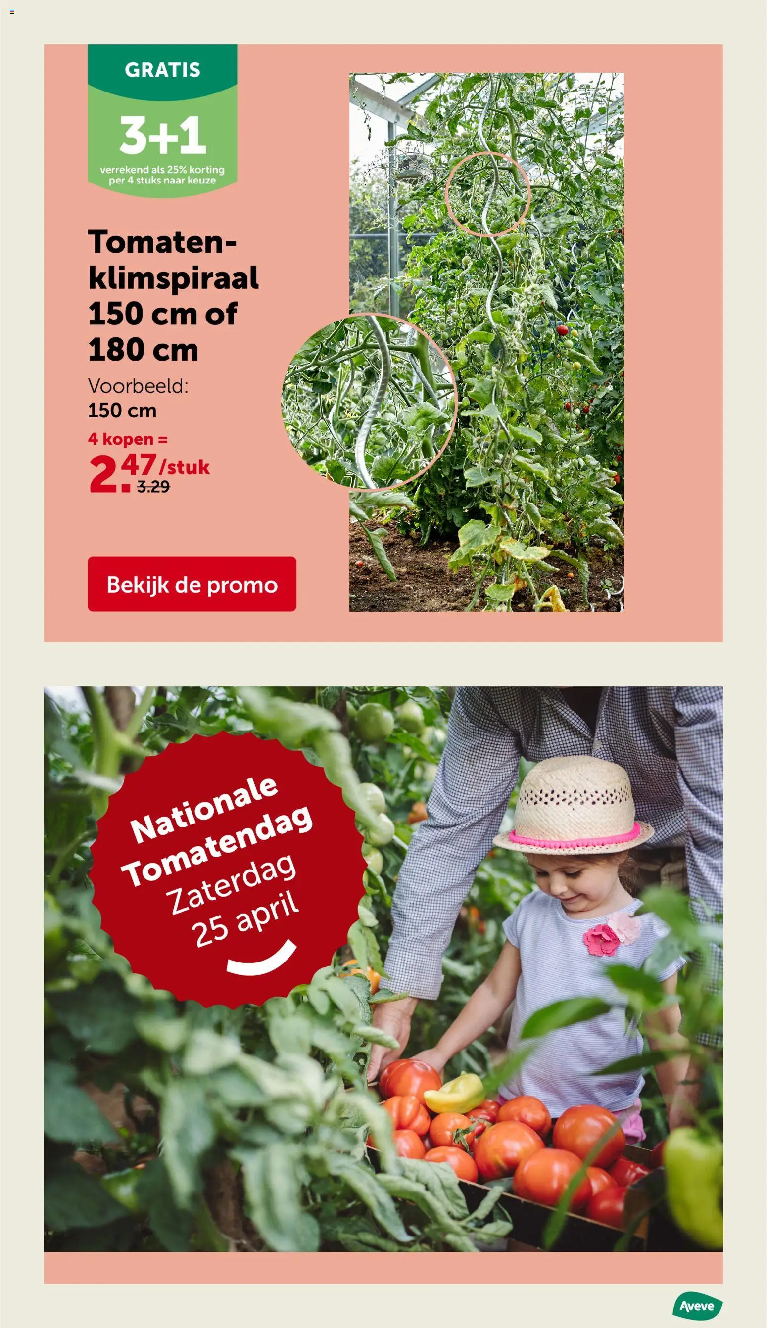 {H1} | Pagina: 6 | Producten: Tomaten