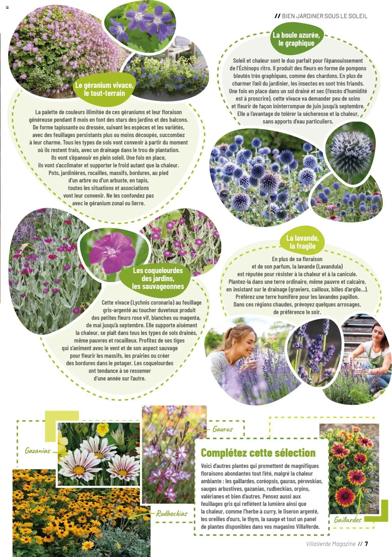  | Page: 7 | Produits: Lavande, Plantes, Géranium, Magazine