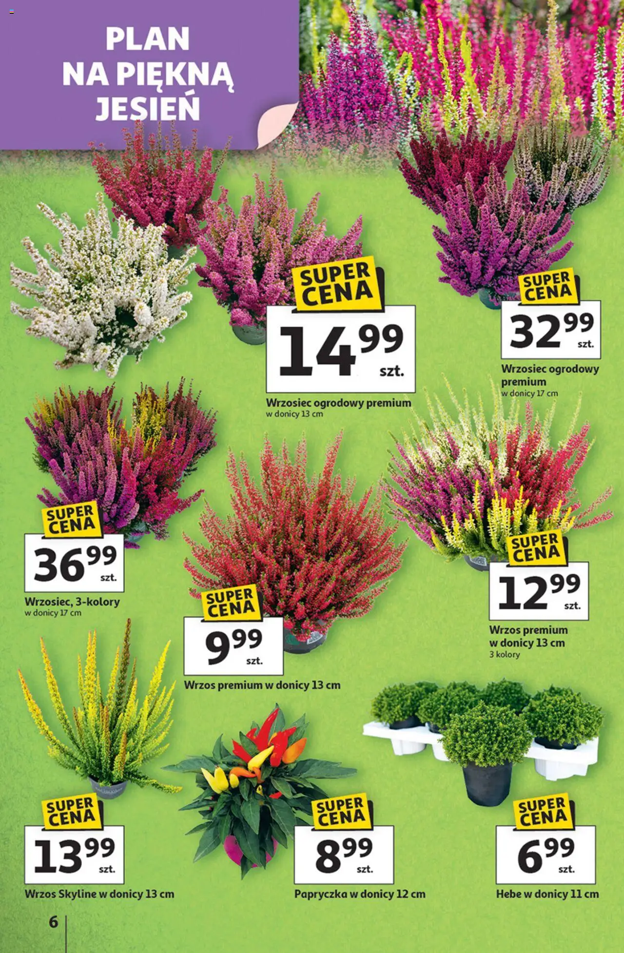 Auchan Gazetka - Pewność niskich cen Hipermarket od 11.09.2025 | Strona: 6 | Produkty: Wrzos