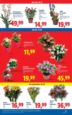 Ofertele Lidl valabile de la 08.12.2025 | Pagină: 57