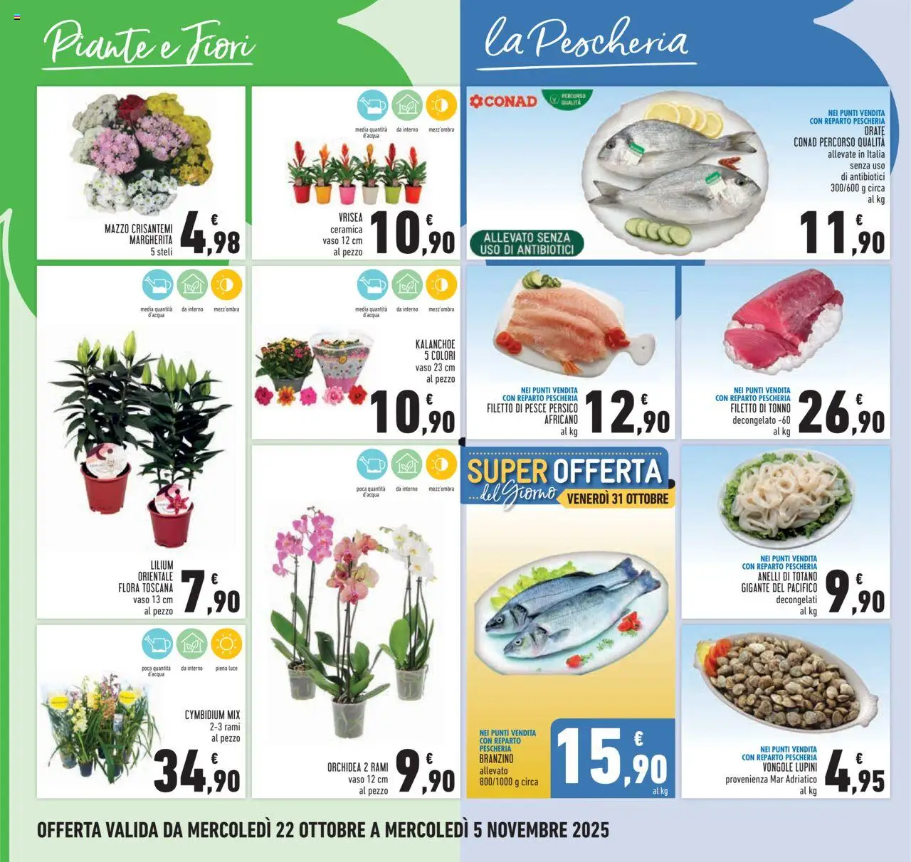 Volantino Conad del 22.10.2025 | Pagina: 6 | Prodotti: Lupini, Tonno, Orchidea, Crisantemi