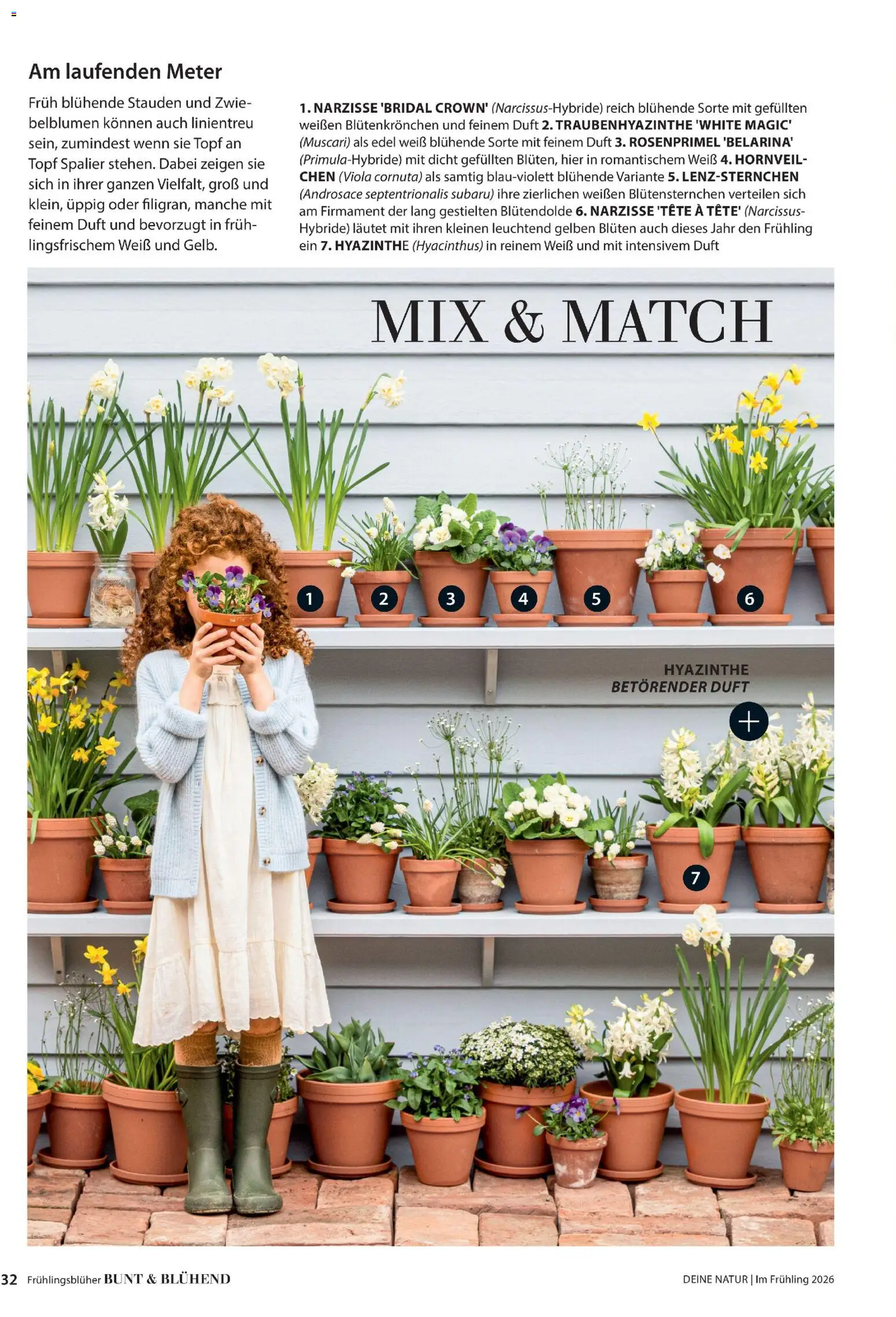 Dehner Flugblatt gültig ab 05.03.2026 | Seite: 32 | Produkte: Duft