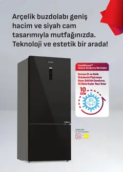 16.04.2026 tarihinden itibaren geçerli olan Arçelik kataloğu önizlemesi | Sayfa: 9 | Ürünler: Balık, Dondurma, Buzdolabı