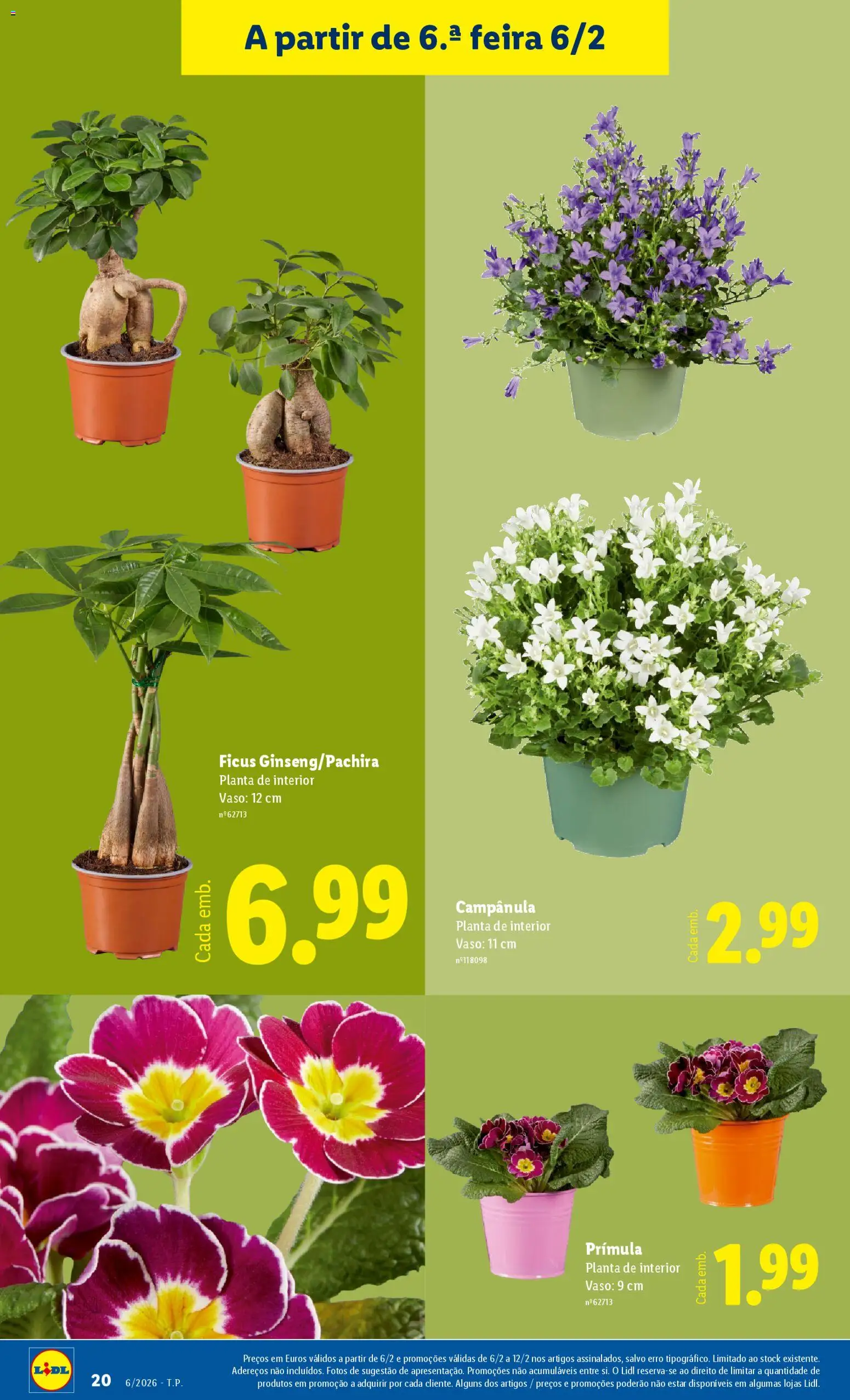 Lidl Novidades │ válido de 02.02.2026 | Página: 20 | Produtos: Vaso