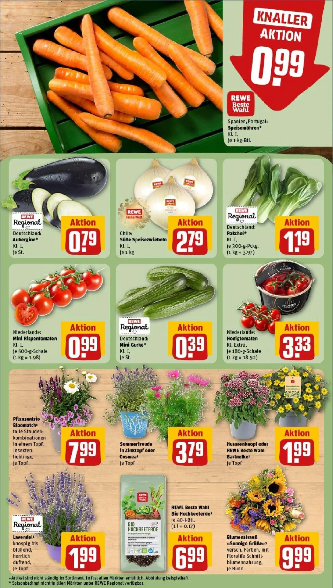 Rewe prospekt Lüdinghausen	 - gültig ab dem 15.06.2025 | Seite: 5