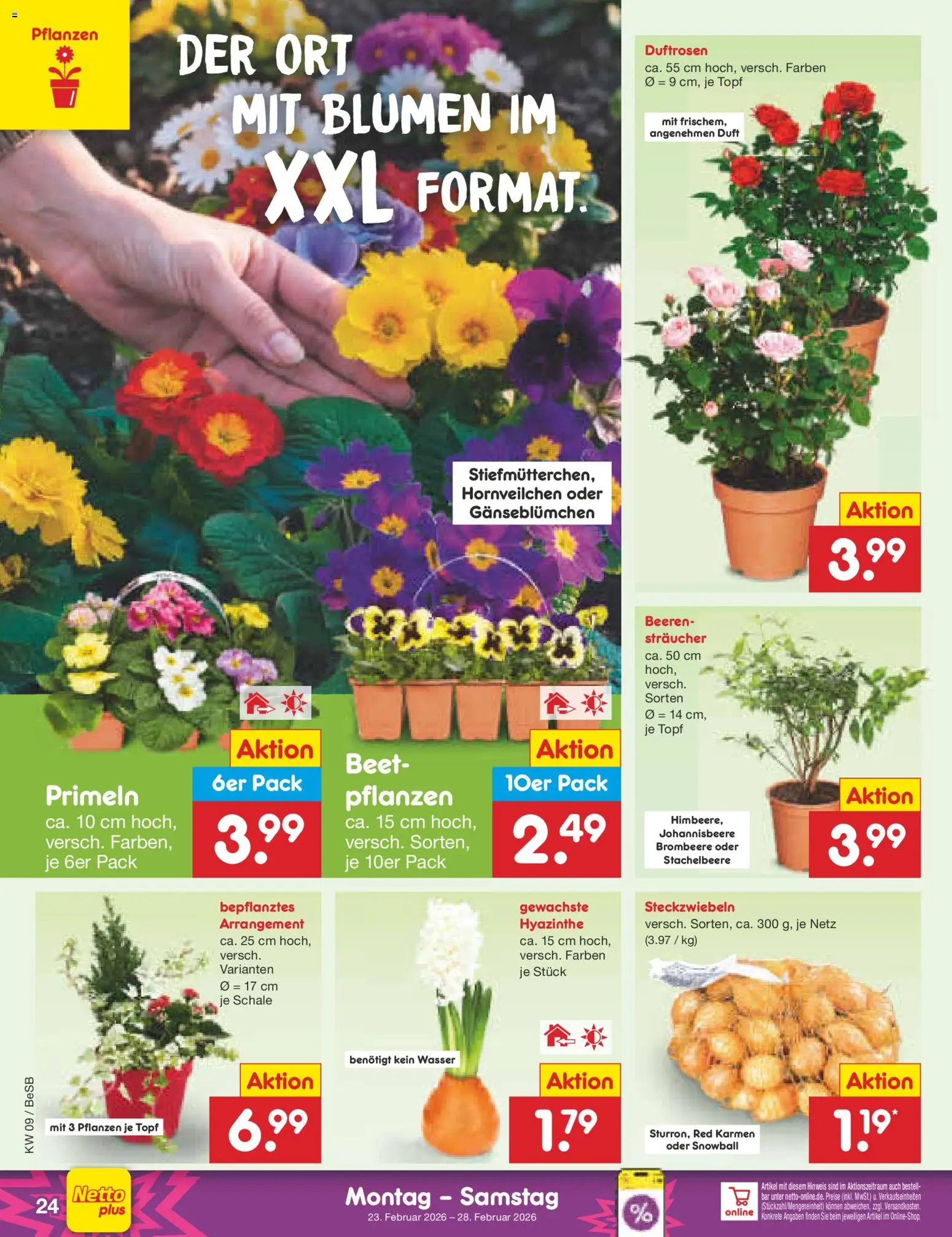 Netto Marken-Discount Prospekt 	 – gültig ab 23.02.2026 | Seite: 36 | Produkte: Blumen, Duft, Wasser