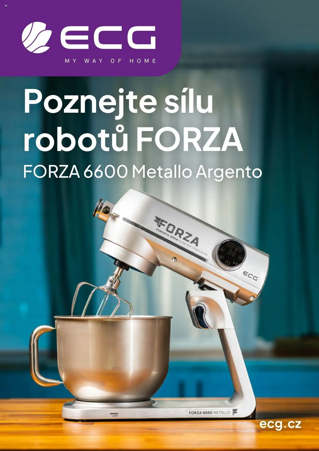 Expert elektro katalog - ECG - Malé domácí spotřebiče od 01.10.2024 | Strana: 16