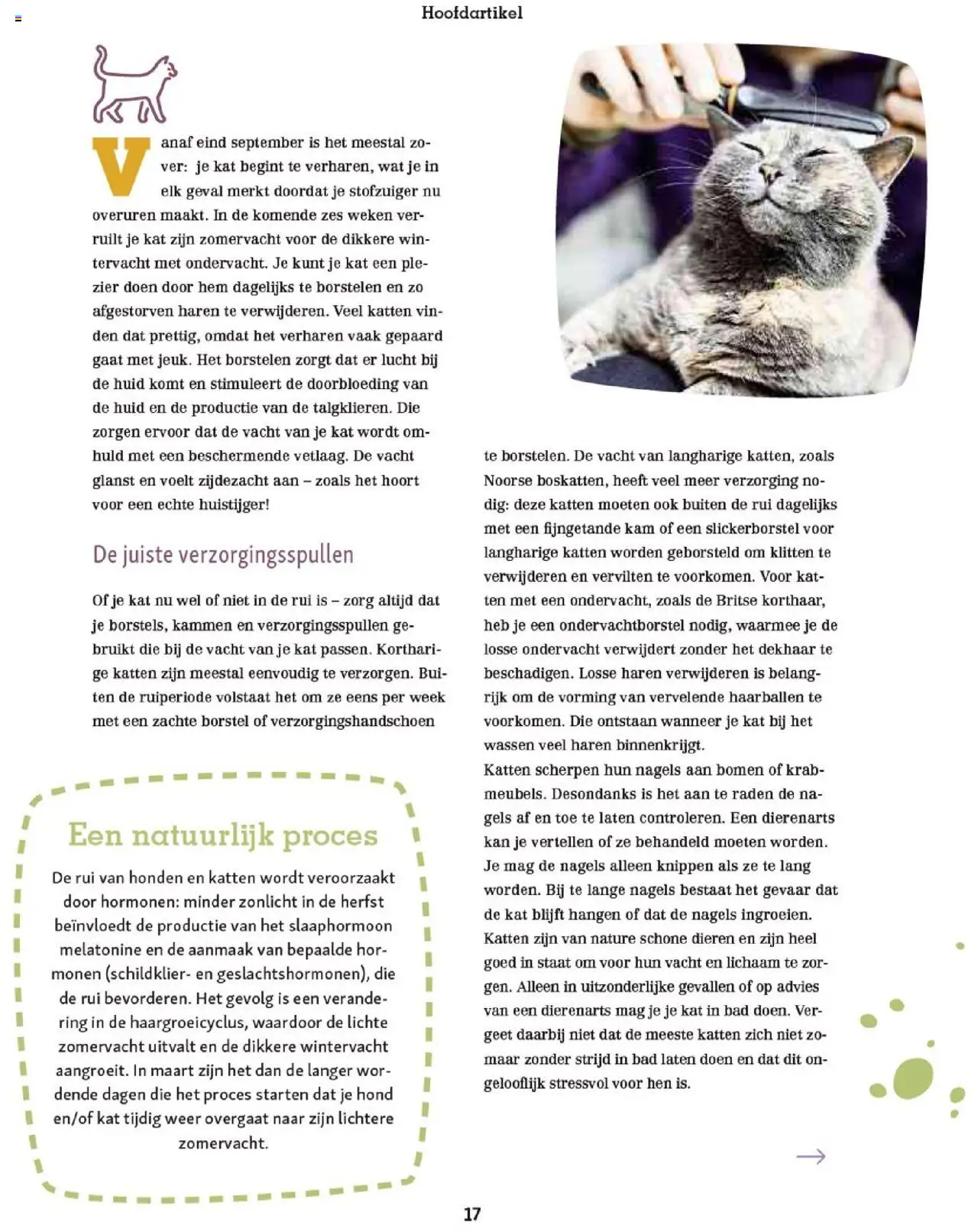{H1} | Pagina: 17 | Producten: Stofzuiger, Gels, Borstel, Kan