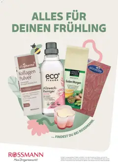 KING'S CROWN Kräutertee Guten Morgen, Kräutertee Guten Morgen, erfrischend, mit Mate und Ingwer, aromatisiert mit Zitronen-Geschmack ab 01.04.2026 gültig | Seite: 47 | Produkte: Kaffee