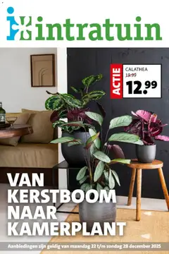 Intratuin - Folder - Voorbeeld van een folder van Intratuin, geldig van 22.12.2025