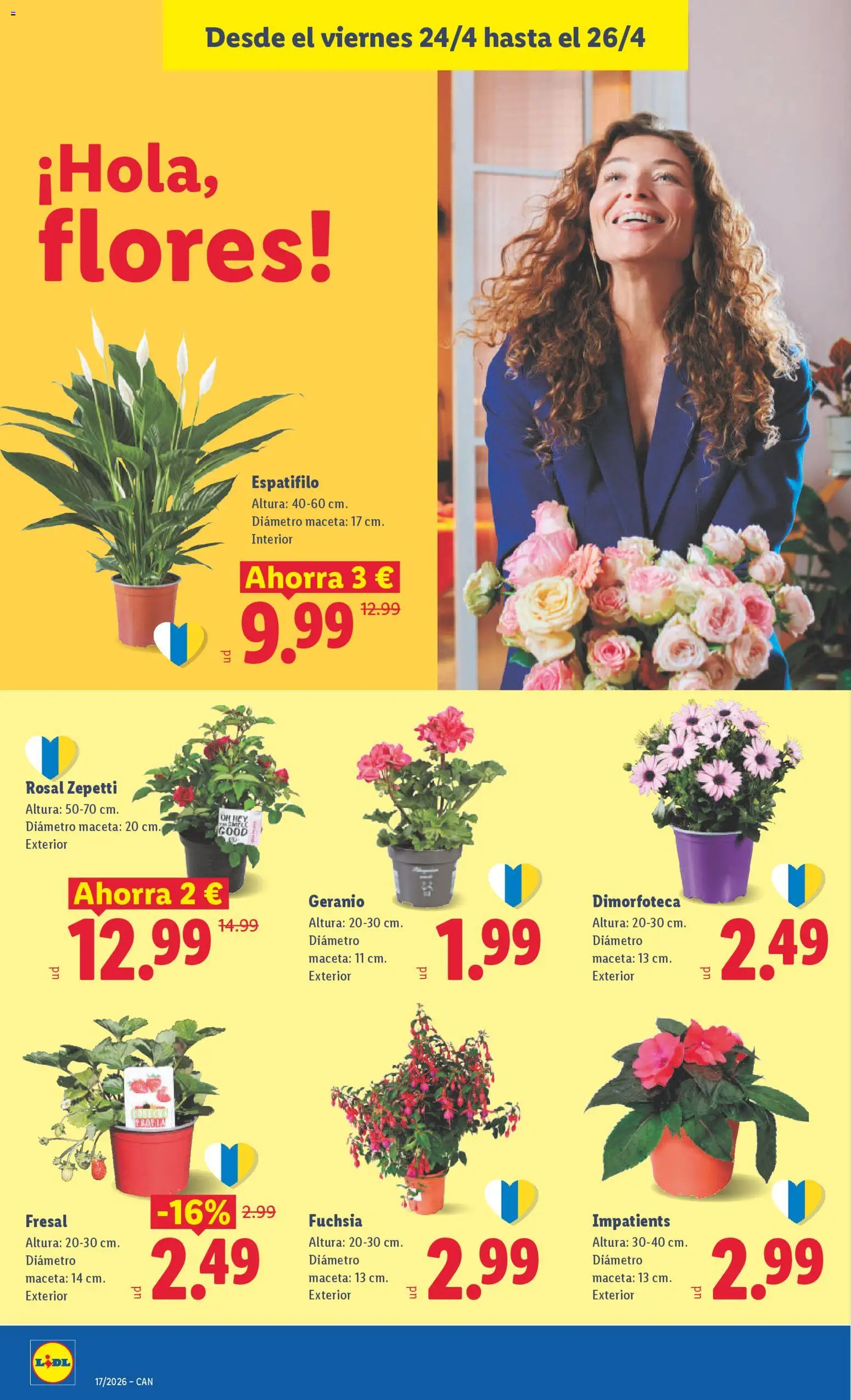 Lidl Canarias │ válido desde el 20.04.2026 | Página: 42 | Productos: Maceta