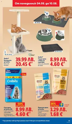  | Страница: 31