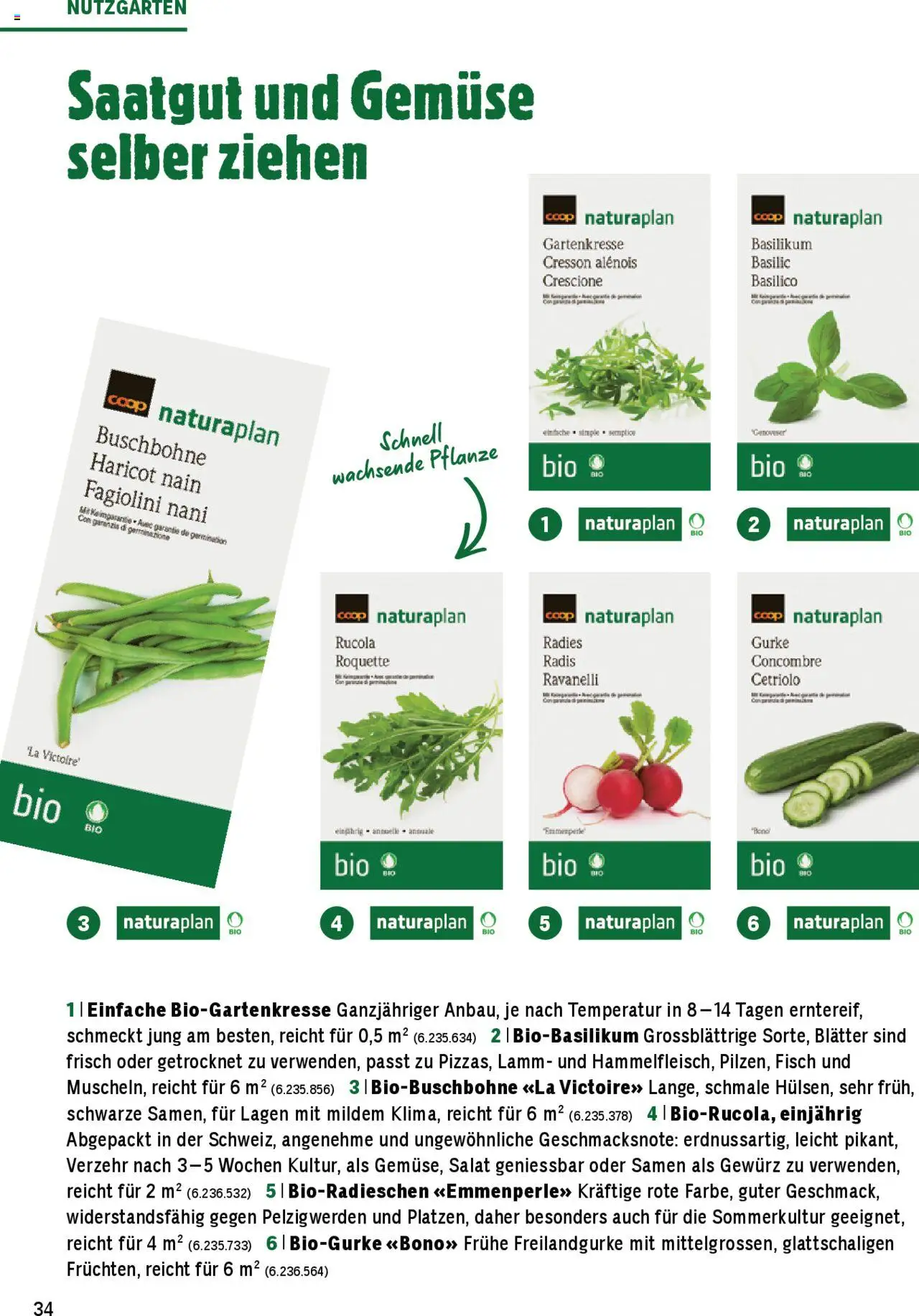 Jumbo Aktionen Dein Garten 2025 ab 21.02.2025 | Seite: 34 | Produkte: Rucola, Fisch, Gemüse, Salat