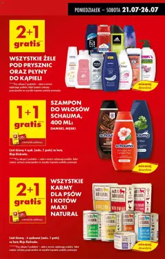 Biedronka gazetka od 21.07.2025 | Strona: 13 | Produkty: Kurczak, Mięso, Karma dla psa, Old spice