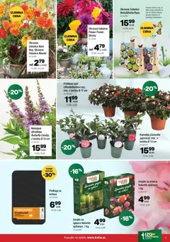 Kalia katalog akcije – veljaven od 02.03.2026 | Stran: 7