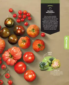 Recheio Frutas e Legumes │ válido de 19.09.2024 | Página: 15