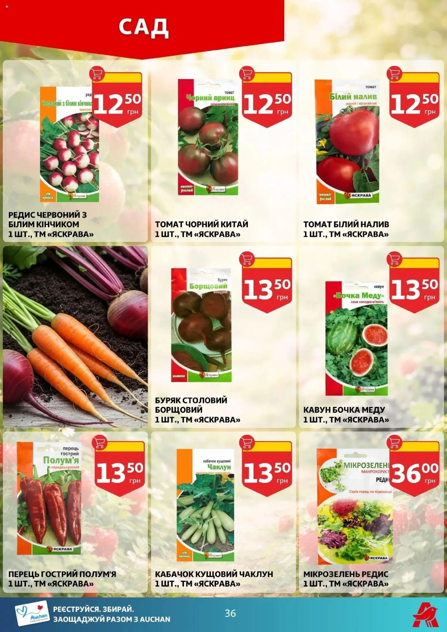 Ашан Kаталог - дійснийкції з 04.02.2026 | Сторінка: 36