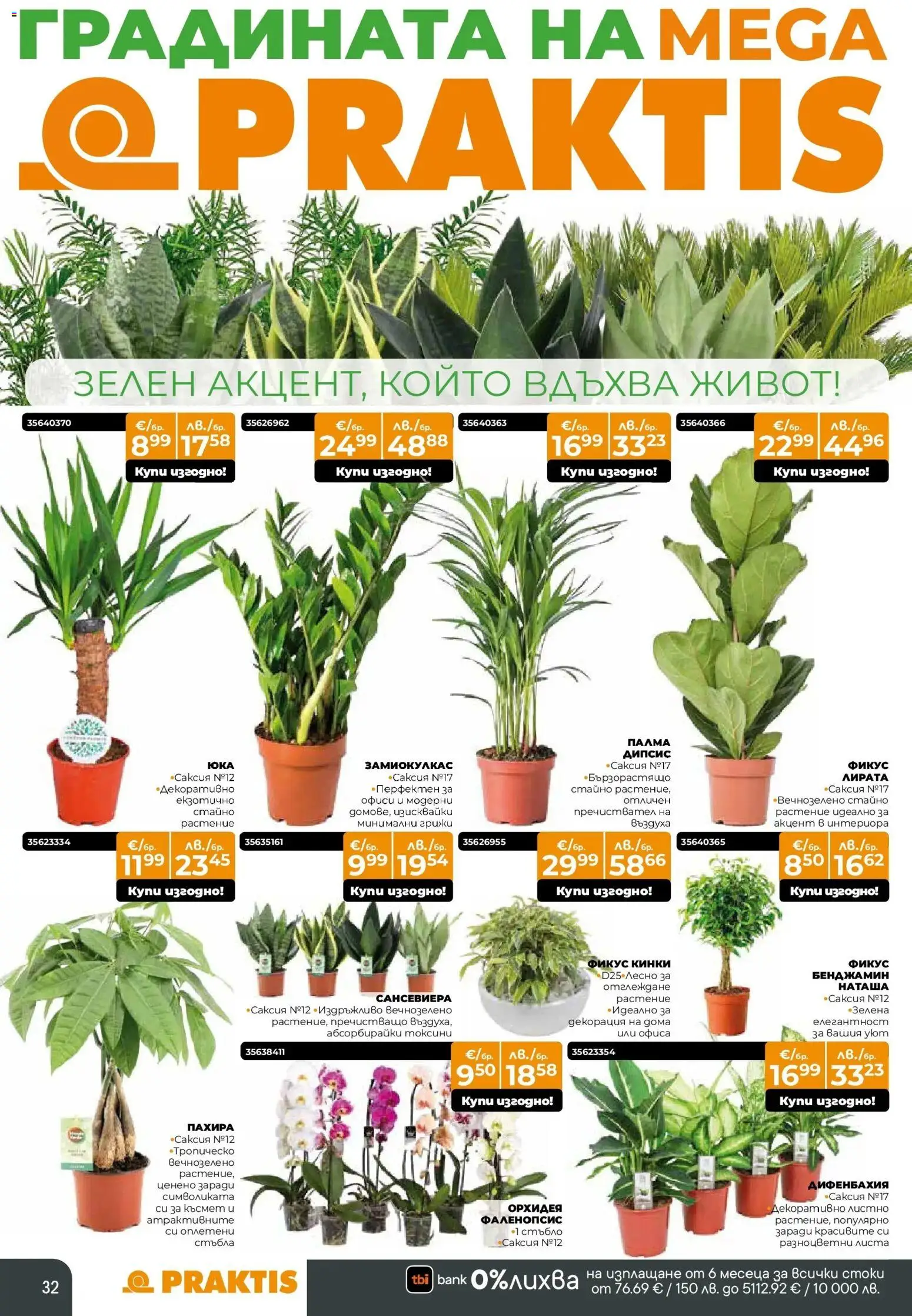 {H1} | Страница: 32 | Продукти: Орхидея, Декорация, Саксия, Палма