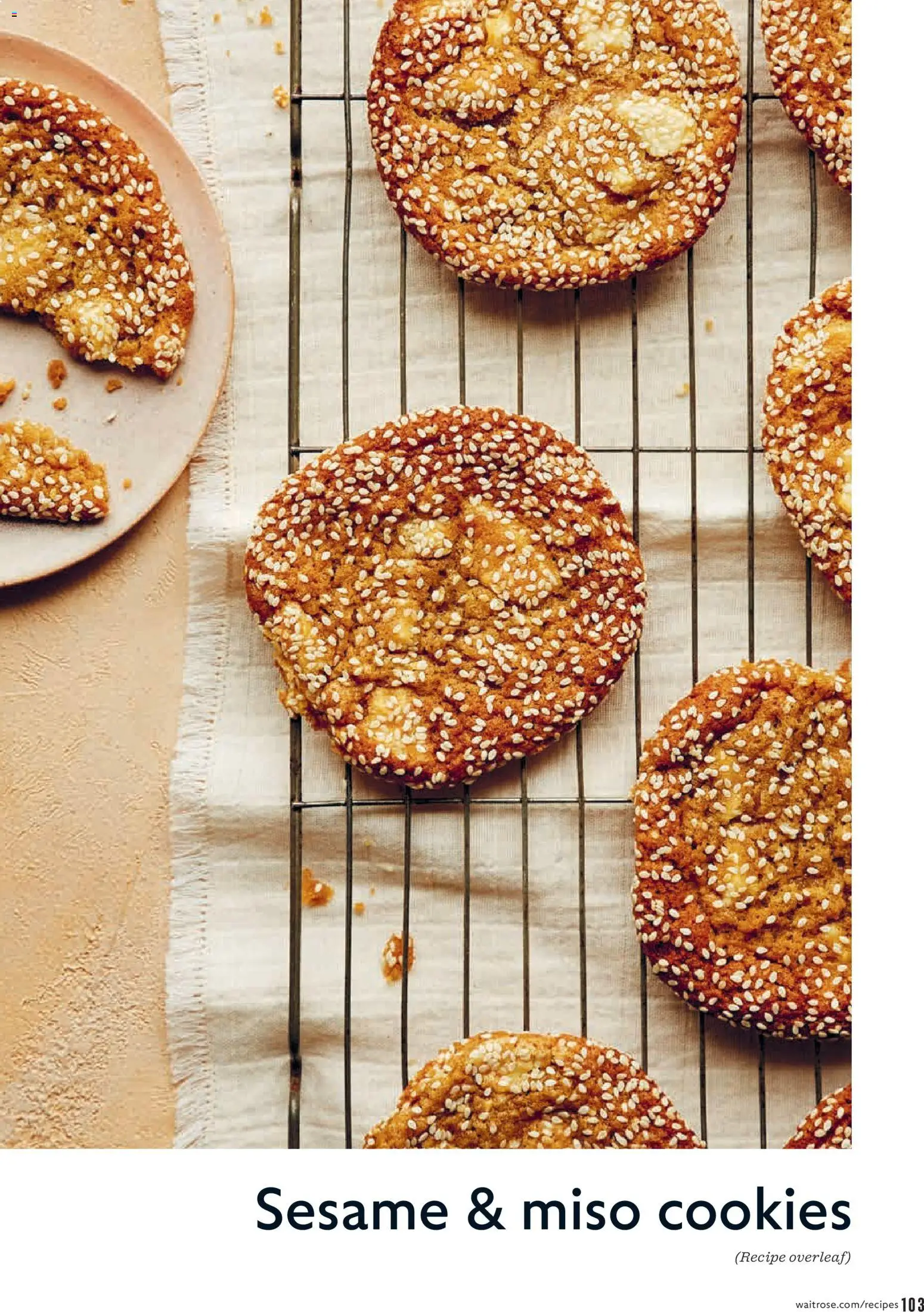 {H1} | Page: 103 | Products: Cookies