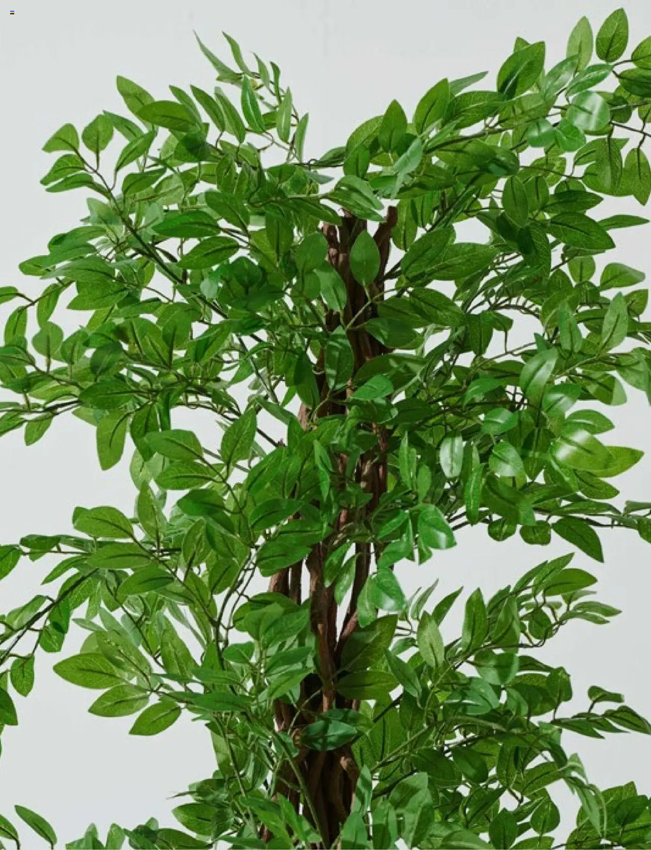 Mudo Katalog - BAHÇE 2025 - 04.06.2025 tarihinden itibaren geçerlidir | Sayfa: 165