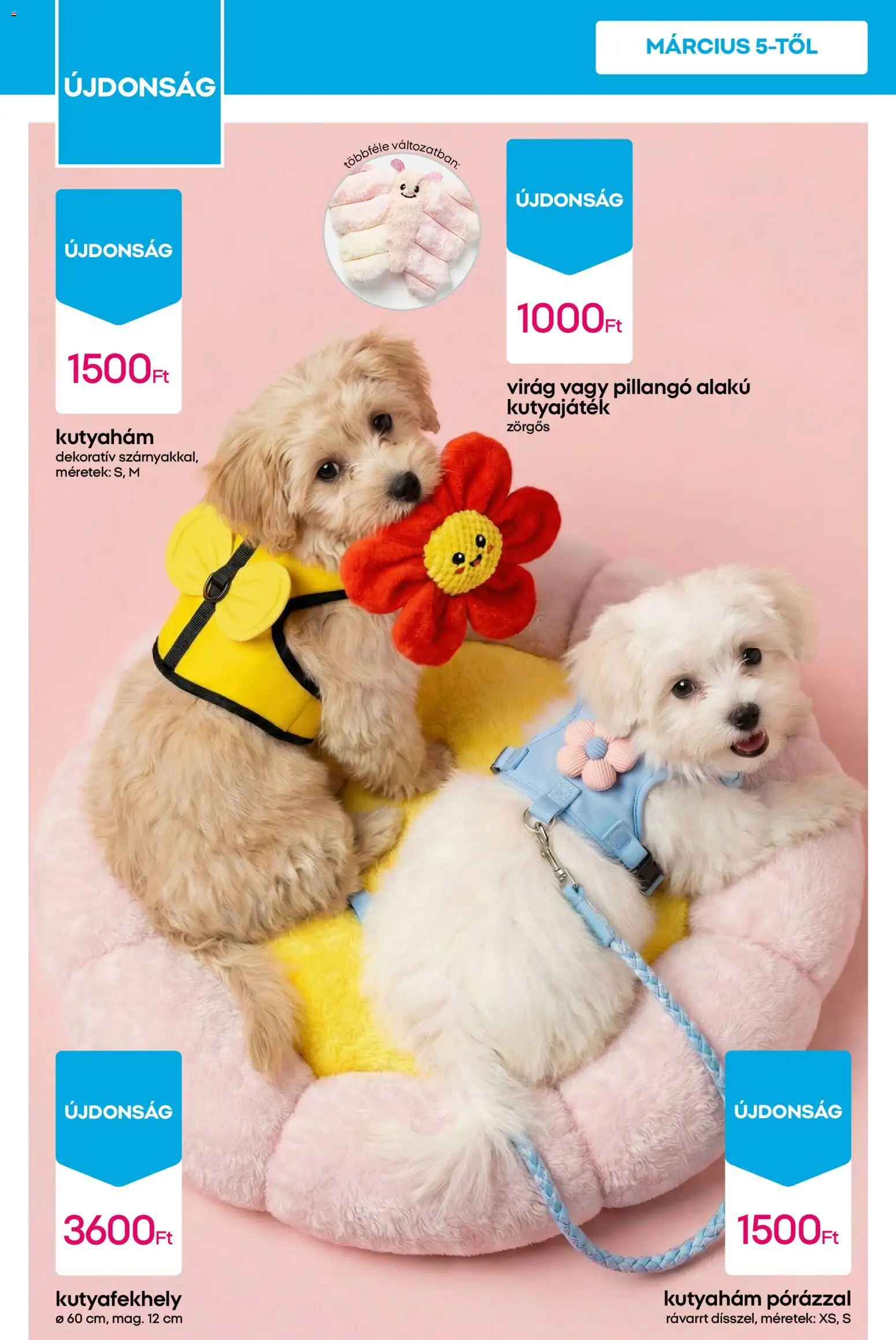 Pepco akciós ujság - amely érvényes a következő dátumtól: 05.03.2026 | Oldal: 10 | Termékek: Virag