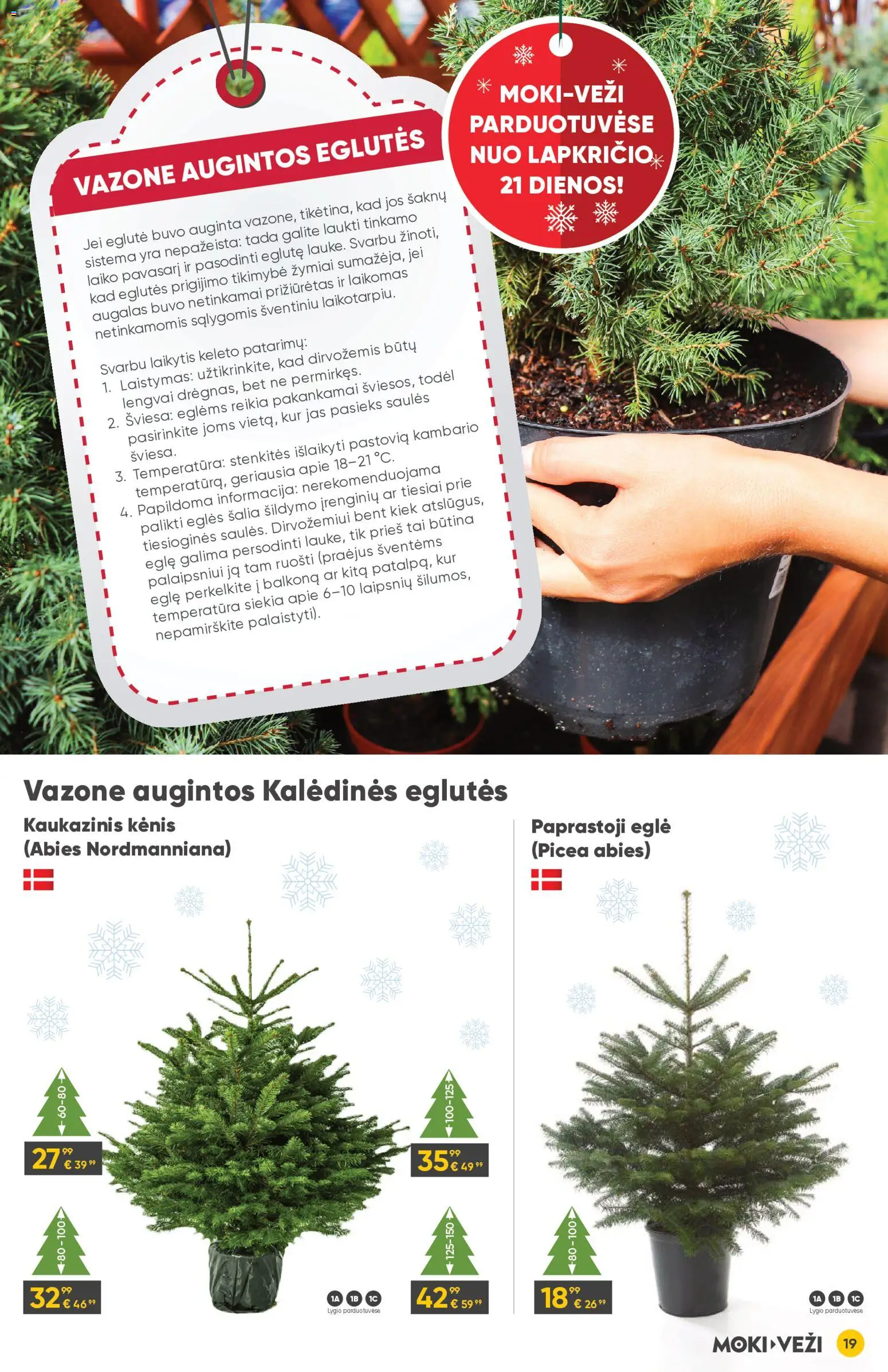 MOKI VEŽI akcijos nuo 13.11.2025 | Puslapis: 19