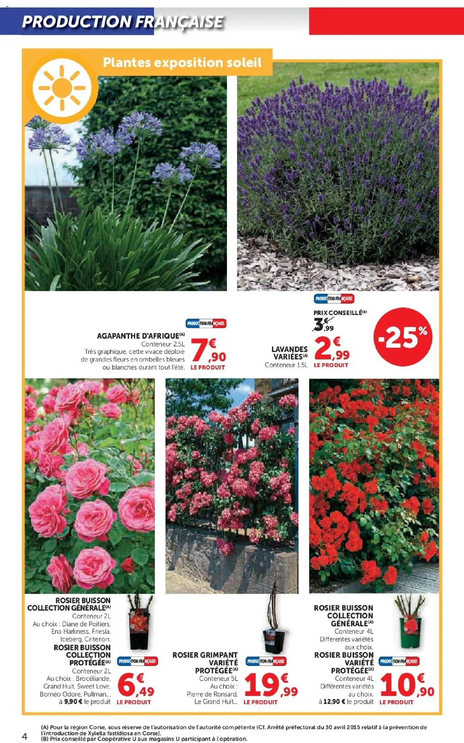 {H1} | Page: 4 | Produits: Rosier, Plantes